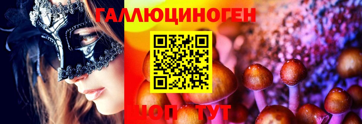 Кудрово  купить наркоту  Вход с VPN  Галлюциногенные грибы Psilocybe 